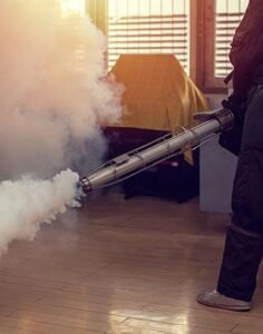Bed Bug Fumigation York