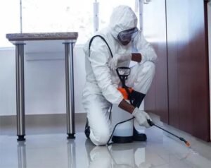 Bed Bug Extermination York