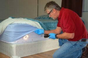 Bed Bug Inspection York
