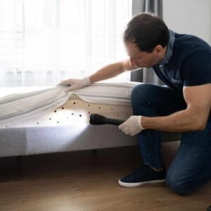 Bed Bug Inspection York
