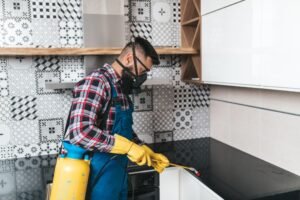 Bed Bug Prevention York