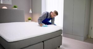 Furniture Bed Bug Treatment York