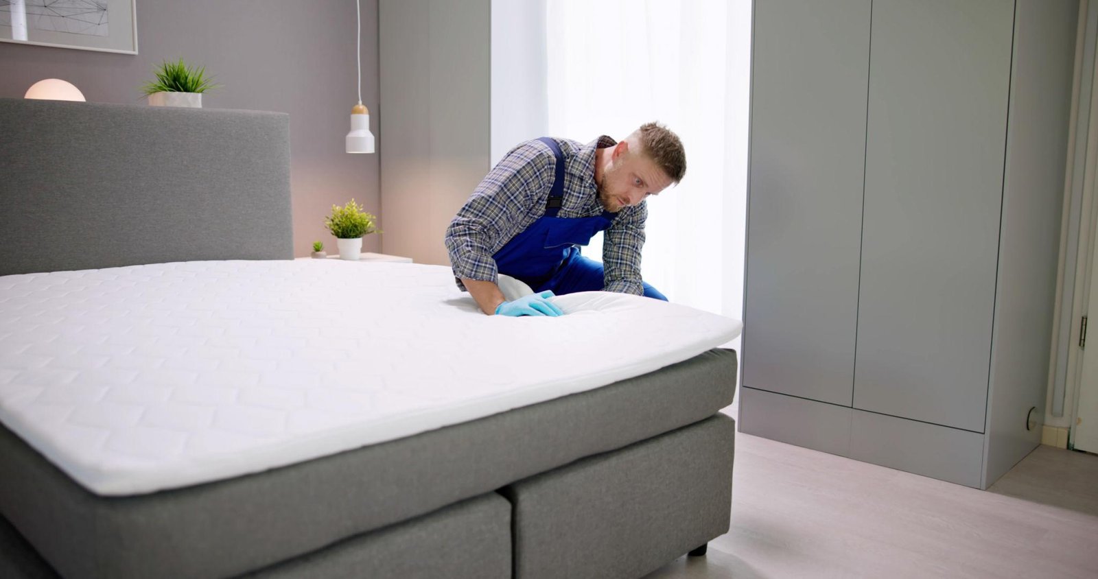 Furniture Bed Bug Treatment York