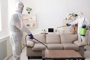 Furniture Bed Bug Treatment York