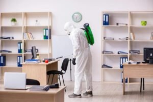 Commercial Bed Bug Treatment York