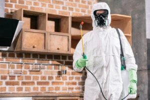 Bed Bug Extermination York