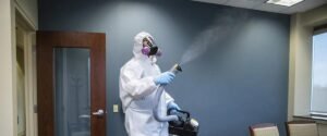 Commercial Bed Bug Treatment York