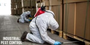 Commercial Bed Bug Treatment York