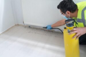 Emergency Bed Bug Treatment York