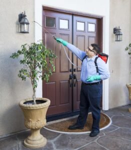 Furniture Bed Bug Treatment York