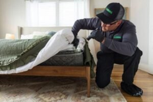 Hotel Bed Bug Treatment York