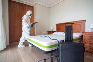 Mattress Bed Bug Treatment York