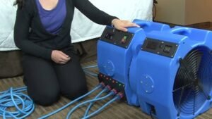 Emergency Bed Bug Treatment York