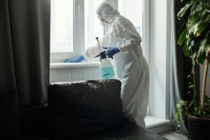 BedBug Heat Treatment York