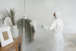 Bed Bug Prevention York